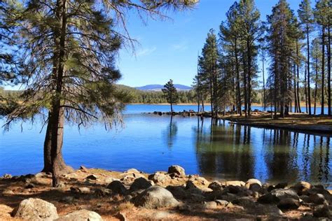 A Local's Guide: Best Things to do in Pinetop Arizona - Simply Wander | Cool places to visit ...