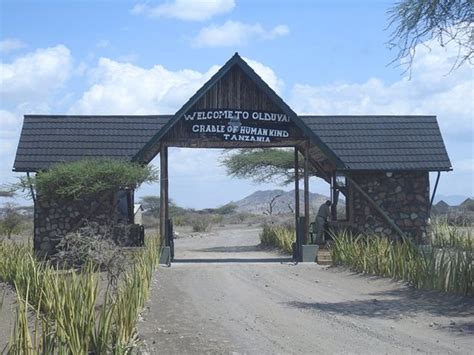 Olduvai Gorge Museum (Ngorongoro Conservation Area) - All You Need to Know Before You Go (with ...