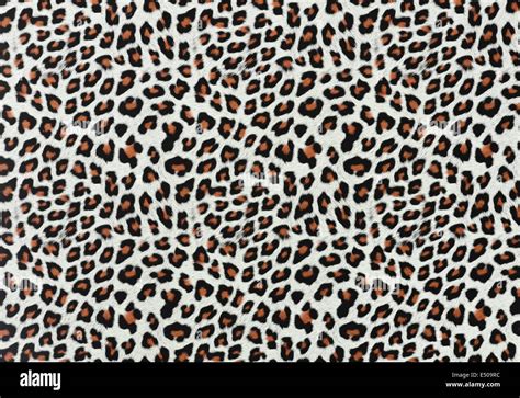 Leopard Spots Background Stock Photo - Alamy