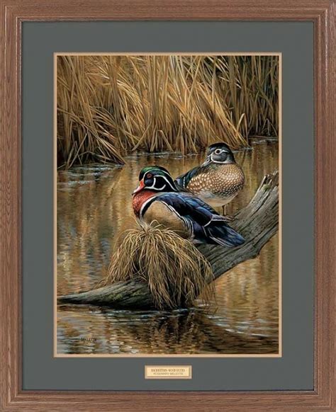 "Backwater Pair" Framed Wildlife Art Print | Wildlife art, Duck art ...