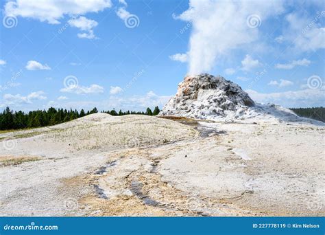 White Dome Geyser Erupting in the Great Fountain Group, Yellowstone National Park, USA Stock ...