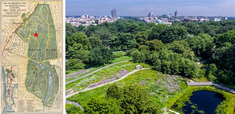 The Native Plant Garden at The New York Botanical Garden | ASLA 2020 ...