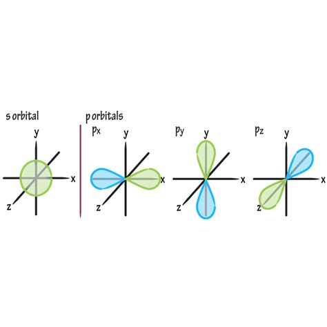 Biochemistry Glossary: s & p Orbitals | Draw It to Know It