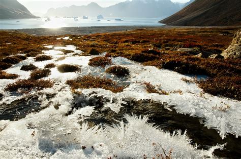 Environmental Problems - Alpine Tundra