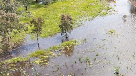 La Nina headache for NSW rice farmers | Dairy News Australia