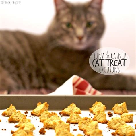 Tabby Cat Extension Goodies Hack - PETS VITAMIN