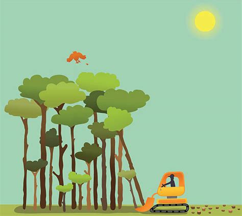 Royalty Free Deforestation Clip Art, Vector Images & Illustrations - iStock