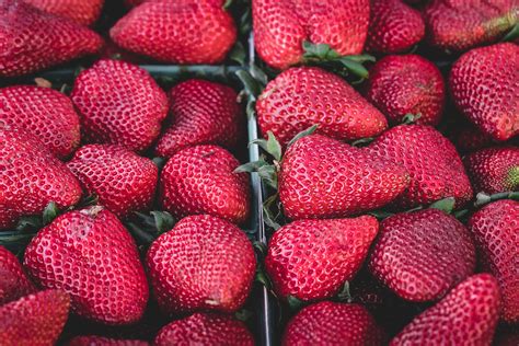 A Life in California's Strawberry Fields | Green America