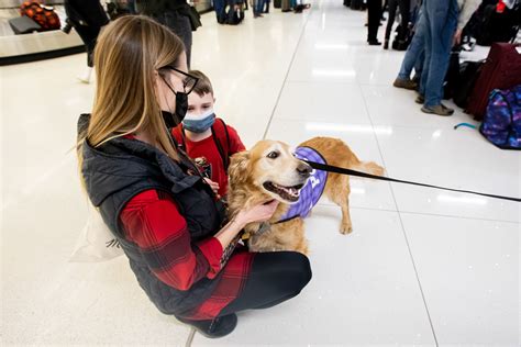 Denver Receives Guinness World Record Title For The World's Largest Airport Therapy Animal Program