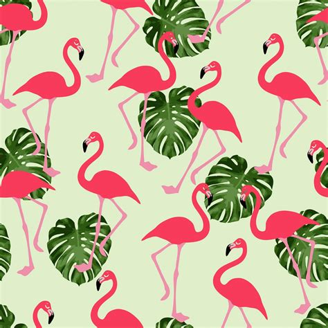 Pink Flamingo Wallpapers - Top Free Pink Flamingo Backgrounds ...