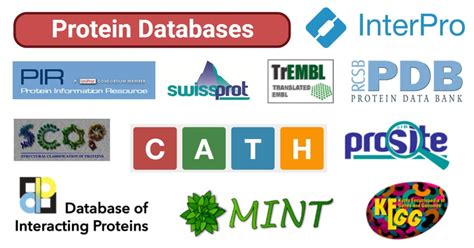 Protein Databases- Definition, Types, Examples, Uses