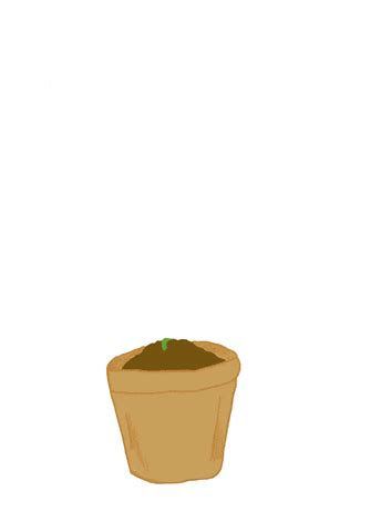 Plant GIFs - Find & Share on GIPHY