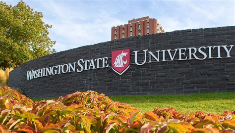 WSU Everett Career Fair | WSU Global Campus | Washington State University