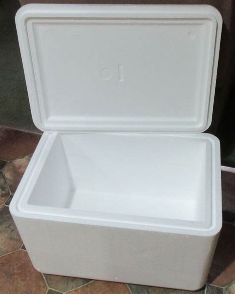 54 Qt Extra Large Styrofoam Insulated Ice Chest Cooler 24" x 17" x 17 ...