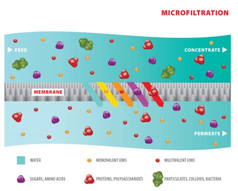 Degrees of Membrane Separation