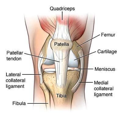 Tendonitis Knee Pain Specialists, Doctors | Brooklyn NYCPain Physicians ...