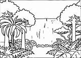 Rainforest Scene Coloring Pages sketch template
