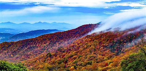 The 20 Best Places to See Fall Foliage in the Smoky Mountains