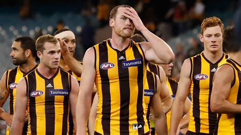 Season review: HAWTHORN | AFL | Sporting News