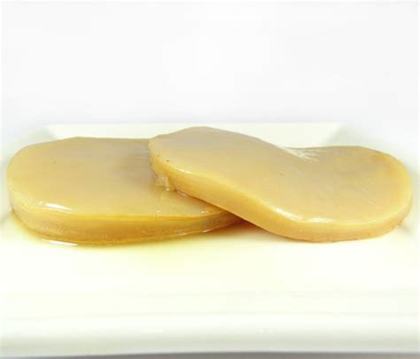 Kombucha Scoby - Brew Your Own Kombucha at Home