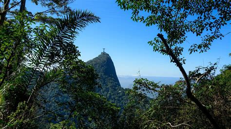 Tijuca Forest and Santa Teresa Private Tour & Photo Shoot