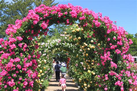 Flowerpark | hamanako-tourism