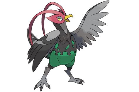 9 Pigeon Based Pokemon - NE Pigeon Supplies