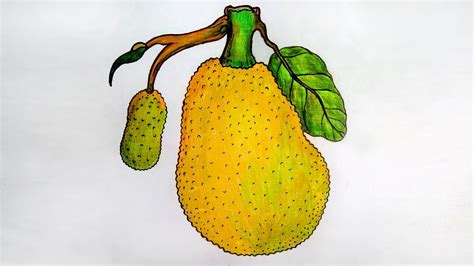 Jackfruit Draw step by step (Very Easy) Jackfruit Drawing - YouTube