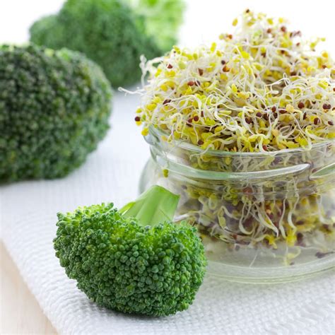 Broccoli Seeds in Bulk from Food to Live