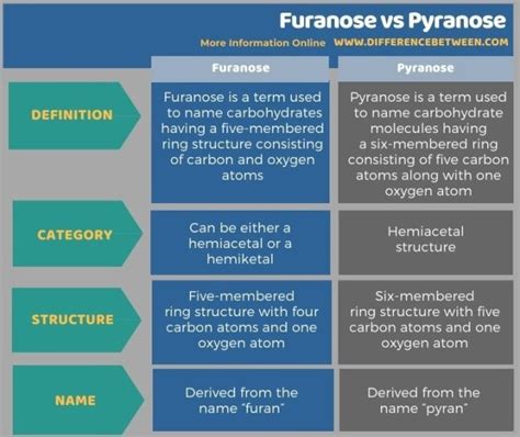 Difference Between Furanose and Pyranose | Compare the Difference Between Similar Terms