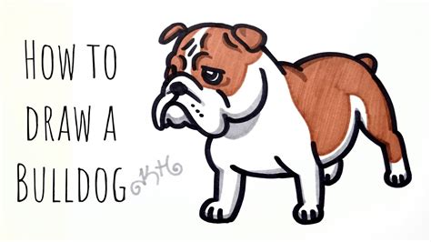 How to draw a Bulldog - easy drawing for beginners - YouTube