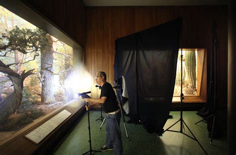 Hiroshi Sugimoto at the American Museum of Natural History - The New York Times