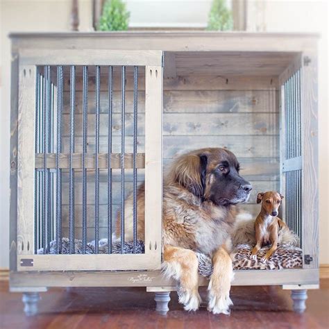 great dane dog kennel | Big dog crates, Dog kennel outdoor, Indoor dog ...