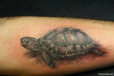 All Tattoos Art: Turtle tattoo symbolism