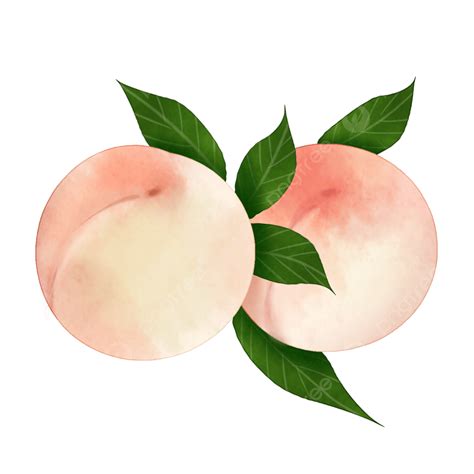 Cartoon Pink Peach Illustration Peach Clipart Pink Peaches Cartoon | My XXX Hot Girl