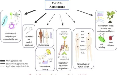 Green synthesis of copper oxide nanoparticles for biomedical application and environmental ...