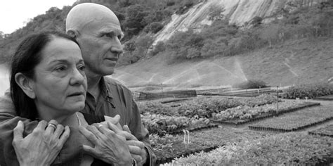 Writing with light: The salt of Sebastiao Salgado | Daily Sabah