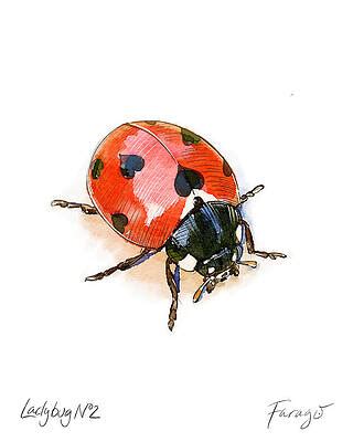 Ladybug Drawings for Sale - Fine Art America