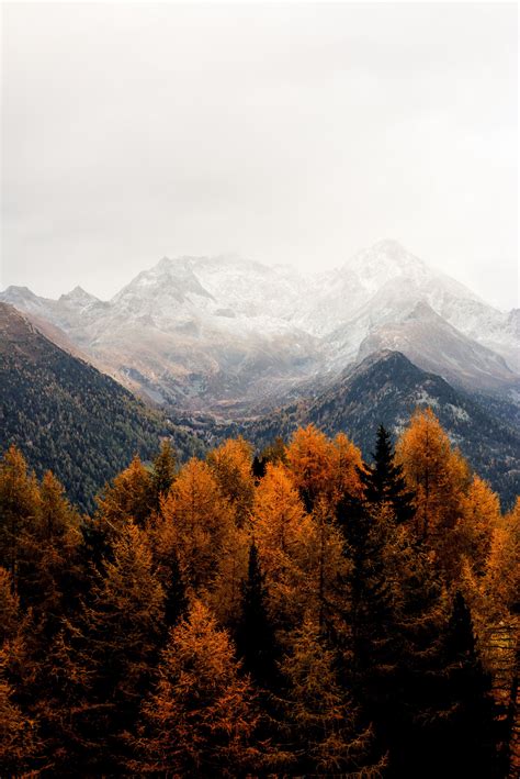 Fall Mountain Scenery Wallpaper