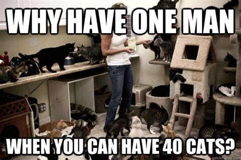 18 Hilarious Cat Lady Memes Only Cat Ladies Will Truly Understand ...