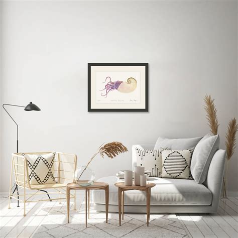 Paper Nautilus Print - Best Seller & Nick's Favorite