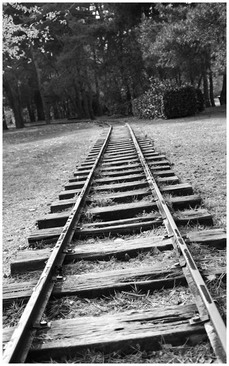 Old train tracks going in the woods... - Transportation Photos - phoTom