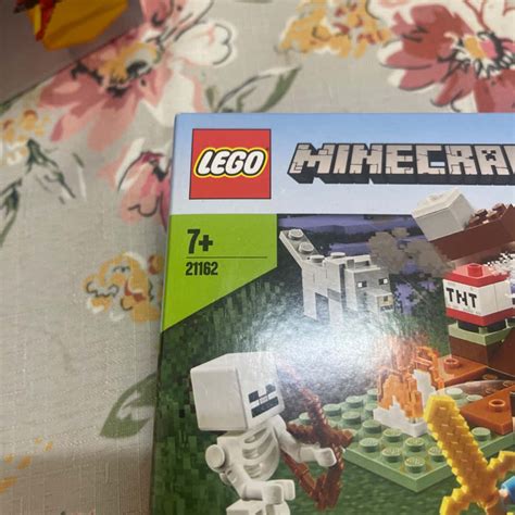 LEGO Minecraft - The Taiga Adventure #21162 BNIB 2020 (b8)