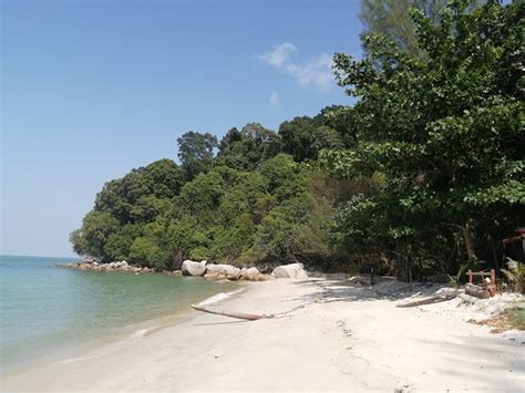 Monkey Beach (Penang Island) - 2020 All You Need to Know Before You Go (with Photos) - Penang ...