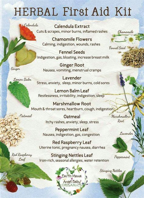 Herbal First Aid Kit Natural Healing Remedies, Natural Cures, Herbal Remedies, Health Remedies ...