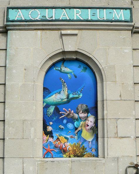 Aquarium | Sibley, Aquarium, Brighton