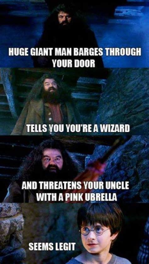 Best Harry Potter Memes, 50 Funny Pictures with HP