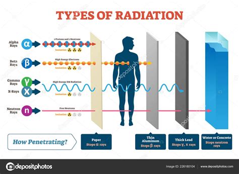 Types of radiation vector illustration diagram and labeled example ...