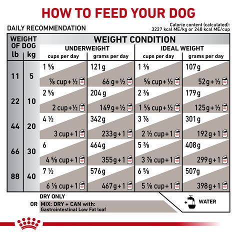 ROYAL CANIN VETERINARY DIET® Canine Gastrointestinal Low Fat Dry Dog Food | Shop myVCA