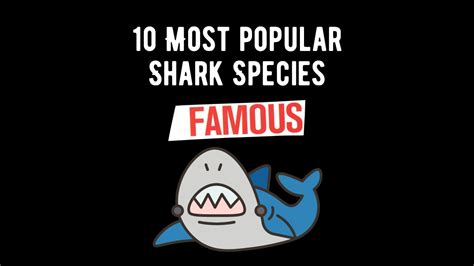 10 Most Famous and Popular Shark Species: Guardians of the Ocean - Shark Truth